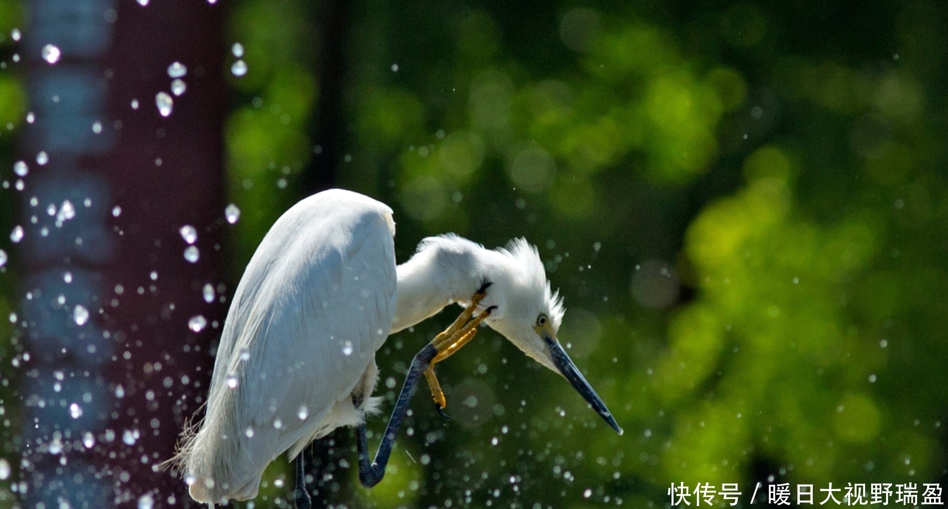 钓友|天热鱼难钓?作出四大调整就能轻松上鱼完胜周边钓友