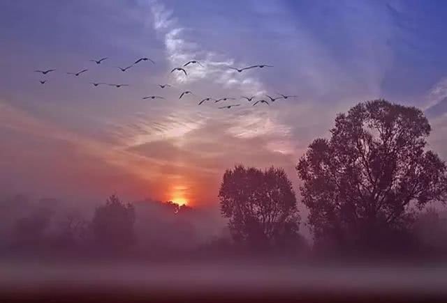 孙仲谋|烟雨夜读 生子当如孙仲谋