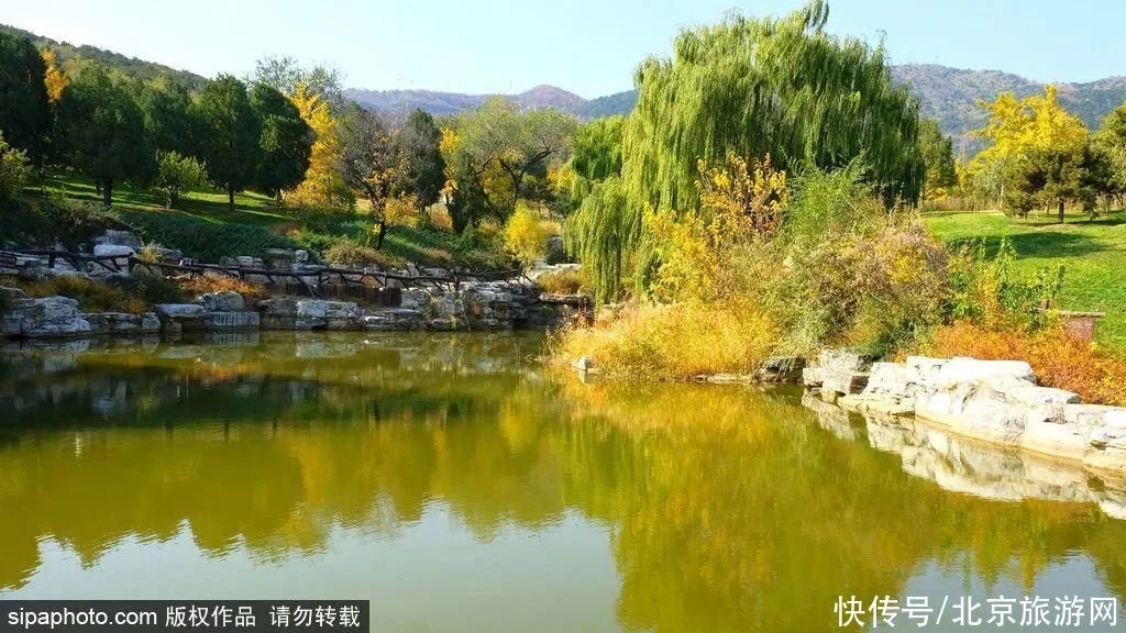 今日寒露 | 登高赏叶，望尽京城金秋好景