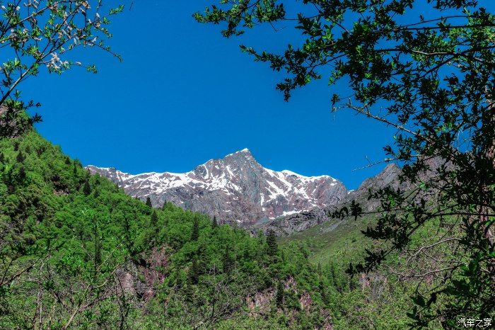 枯树滩|东方圣山，户外天堂——四姑娘山自驾徒步之旅