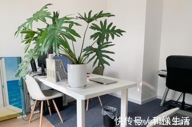 衣帽|她在玄关做个“落尘区”，衣帽间不要柜体和柜门，谁见过！