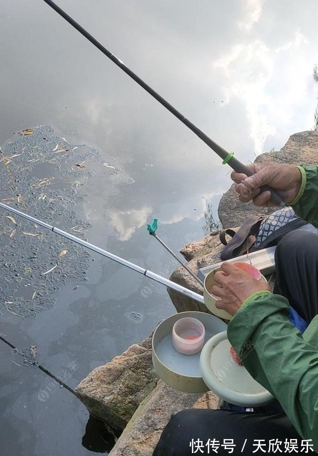 向高龄钓友请教的“摇三摇”钓法,毫无保留的分享给大家