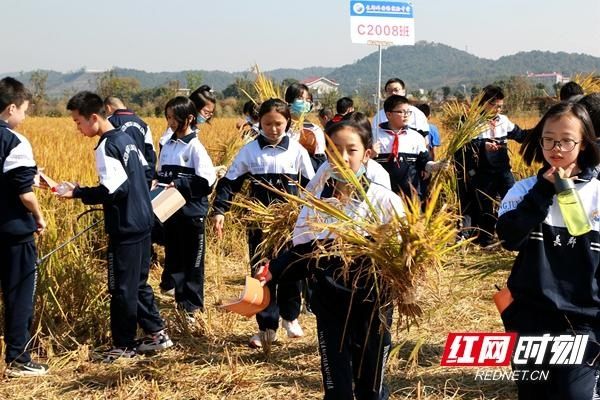 研学旅行|教育部新纲印发“劳动教育”成旅行新课题