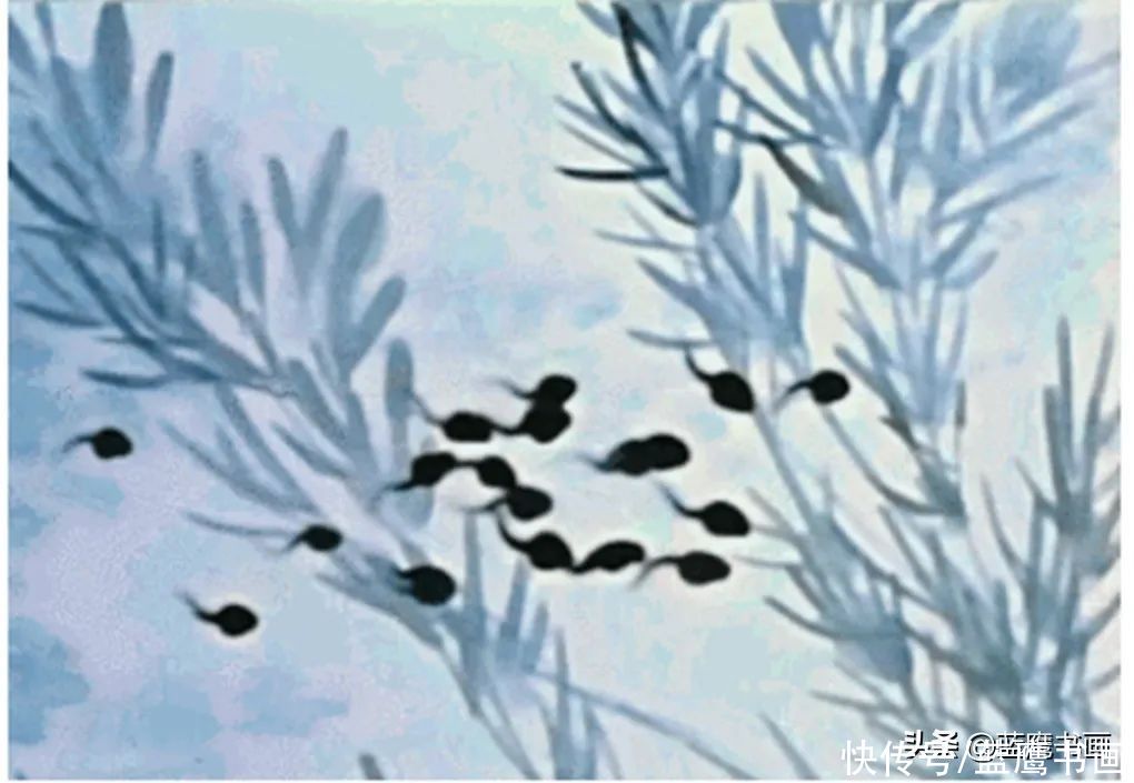 中国的水墨动画，脱胎于中国水墨画，意境悠远堪称人间之美