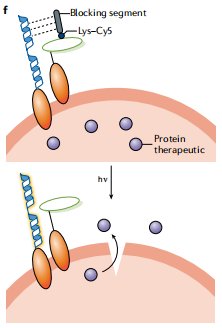 delivery|癌症治疗新尝试!