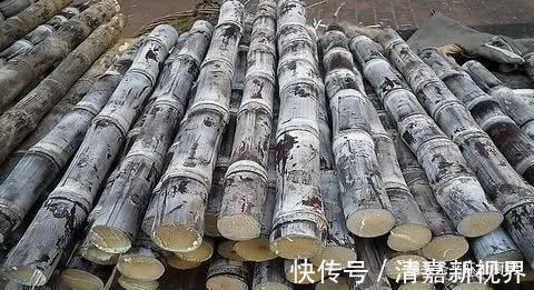 寄生虫|寄生虫最多的4种食物,水果也上榜了,最后一种大人小孩都爱吃的