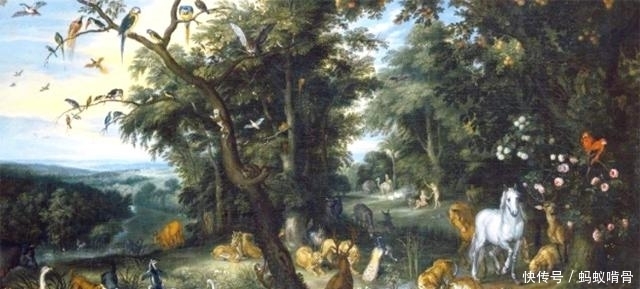 发展|犹太人:沙漠牧民的民族精神发展历程