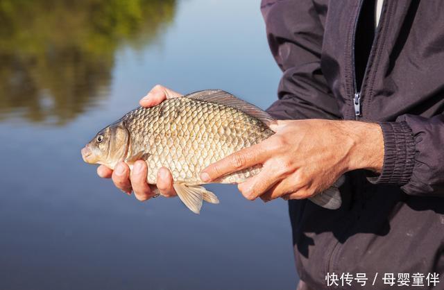 又到钓鲫鱼的时节了，及时更换钓组以免错过爆护良机