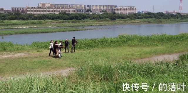 m1号|泽塔奥特曼叶虎父女关系差点产生裂缝，多亏了遥辉的坚持