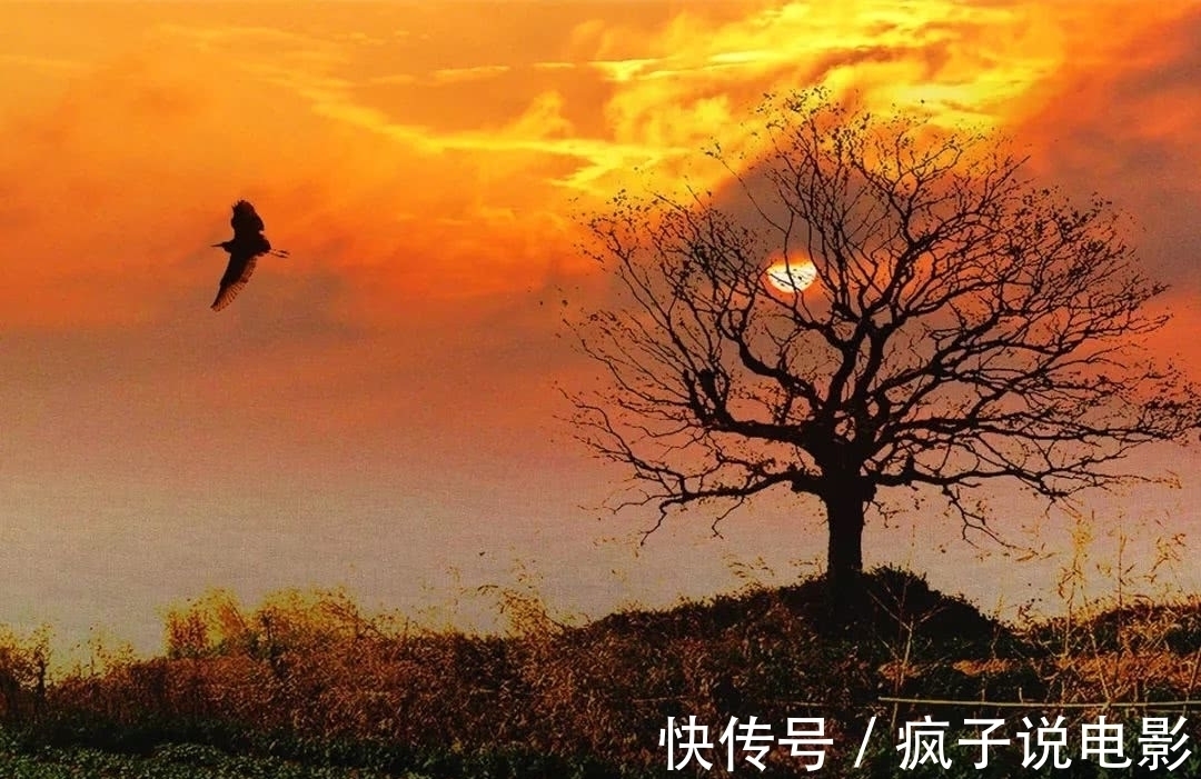 江阔云$满满全是人生的10大诗词排行榜,都有哪些优秀的诗词入榜?