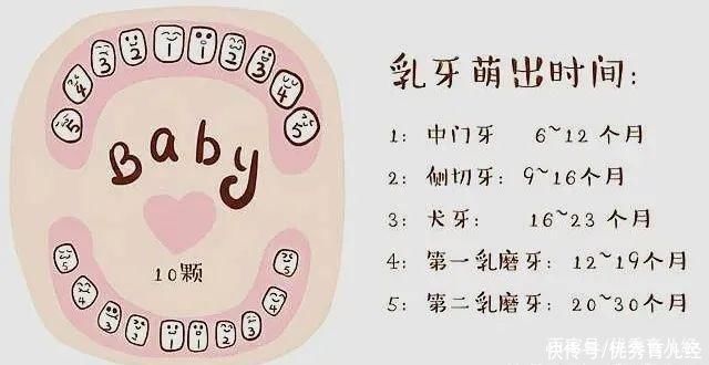 顺序|宝宝出牙有哪些症状?出牙顺序与时间表!