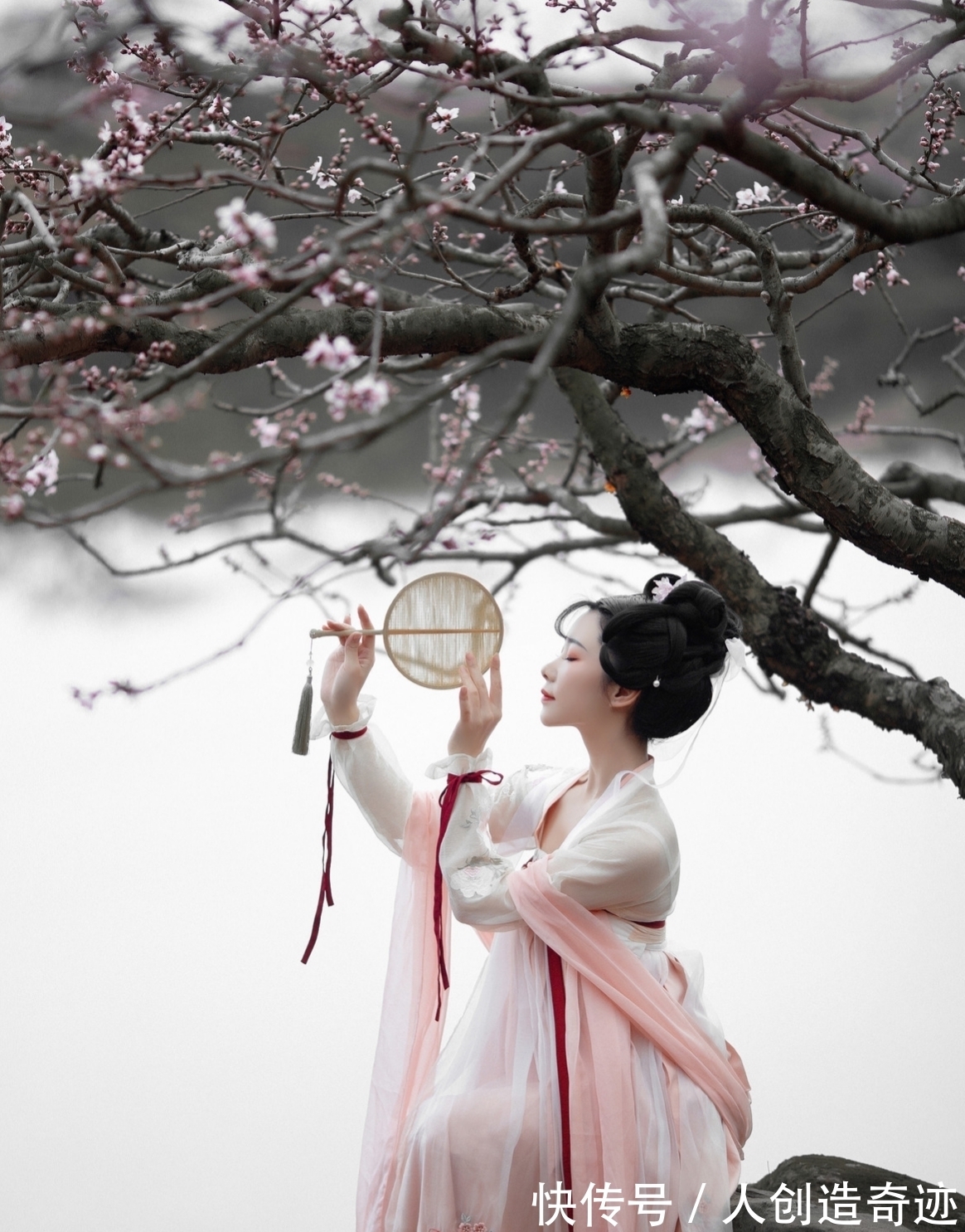 冬梅|诗丨莫叹桑榆天向晚，芦丛深处戏闲鸥