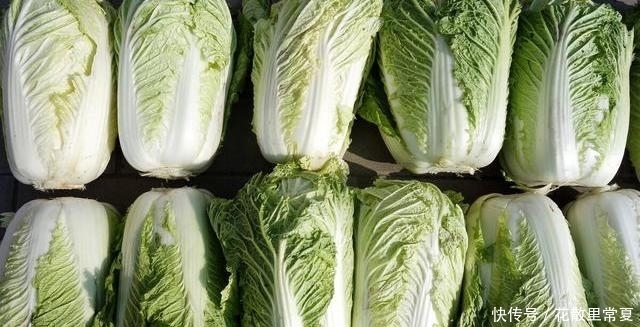 些黑点|白菜上的黑点是什么,到底能不能吃?