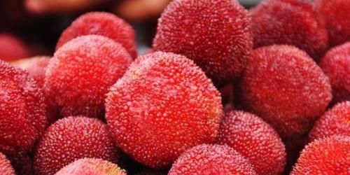 维生素c|生活中很普通的食物,女性每天换着吃,排出黑臭宿便,越吃越瘦