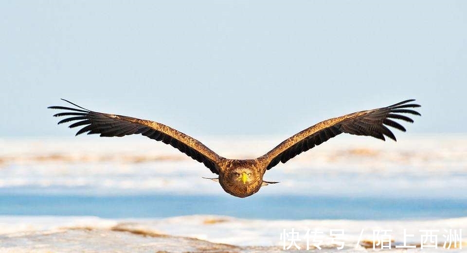 李邕！落选《唐诗三百首》最著名的20首诗，清明、赠汪伦、鸟鸣涧在其中