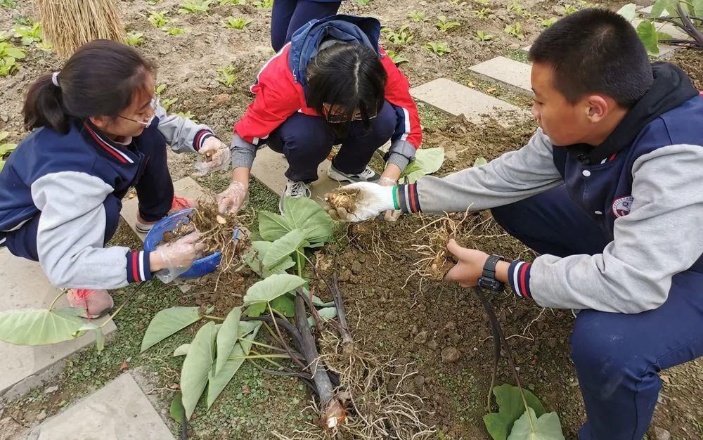 化管理|因为食品安全！龙泉驿这所学校被“点名”