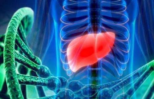  常生活中|这5个时间喝水最养肝，肝不好的朋友学会后，肝脏会慢慢好转！