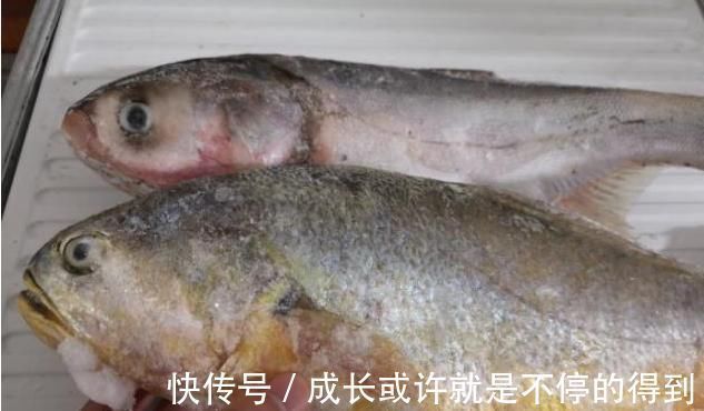 腌制|4种鱼,或是病菌的“仓库”,免费送也别要,发现了要立即扔掉