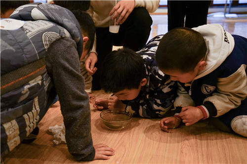 大手拉小手 共护南湖水