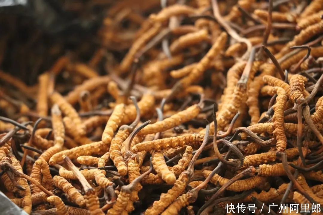  头发|#脱发救星#让头皮说话