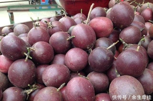 街上一斤10元,其实只要一粒籽就能在家盆栽,一年四季都结果!