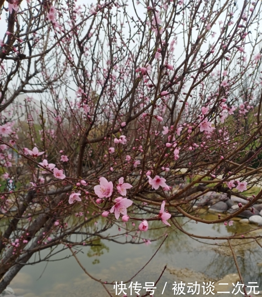 郑州电专|郑州电专“练习生”正式出道!