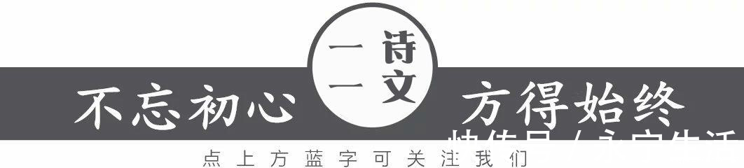 人生|既然人类微渺得如同一只蜉蝣,那么人生须臾,不如绽放