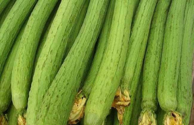 排毒|女想长寿先排毒,常吃3种食物,除皱去斑,排毒抗衰,气色也好!