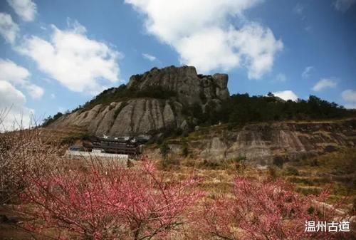 楠溪陡门梅岙花开正好，骄艳漫山坡，我已去过，你何时去？