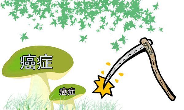 身材|身高影响寿命?长寿的人平均身高是多少?你是长寿身材吗?