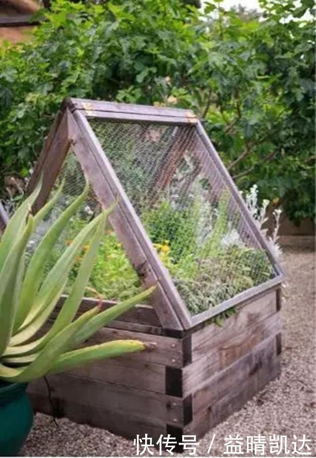 现在有个菜园才是人生赢家,450㎡可食用花园,实现你的吃货自由