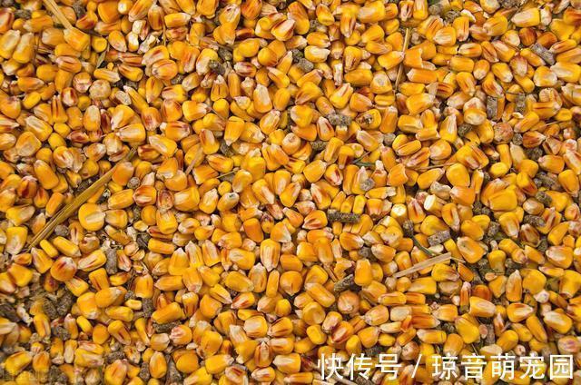 危害|家里有这5种变质东西，请抓紧丢掉，危害不亚于“酸汤子”，切记