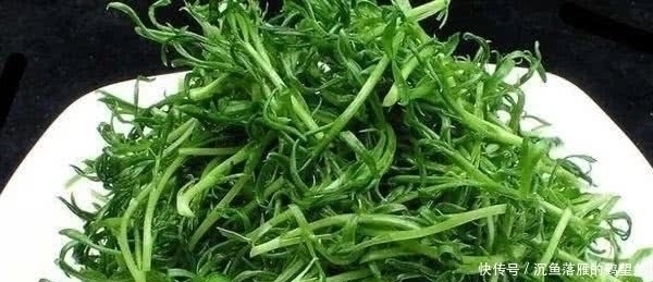苜蓿|中国最好吃的6种极品野菜,你若是全吃过,请收下我的“膝盖”