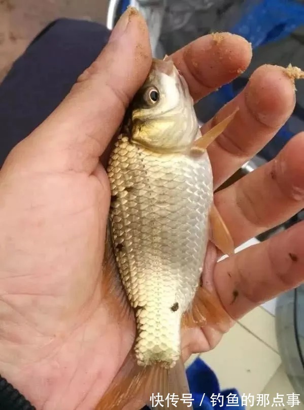 遇到这3种漂相,一定要“忍”,否则错过的都是“大家伙”