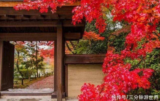 日本一座与众不同的寺庙，入寺不烧香，常年被鲜花包围