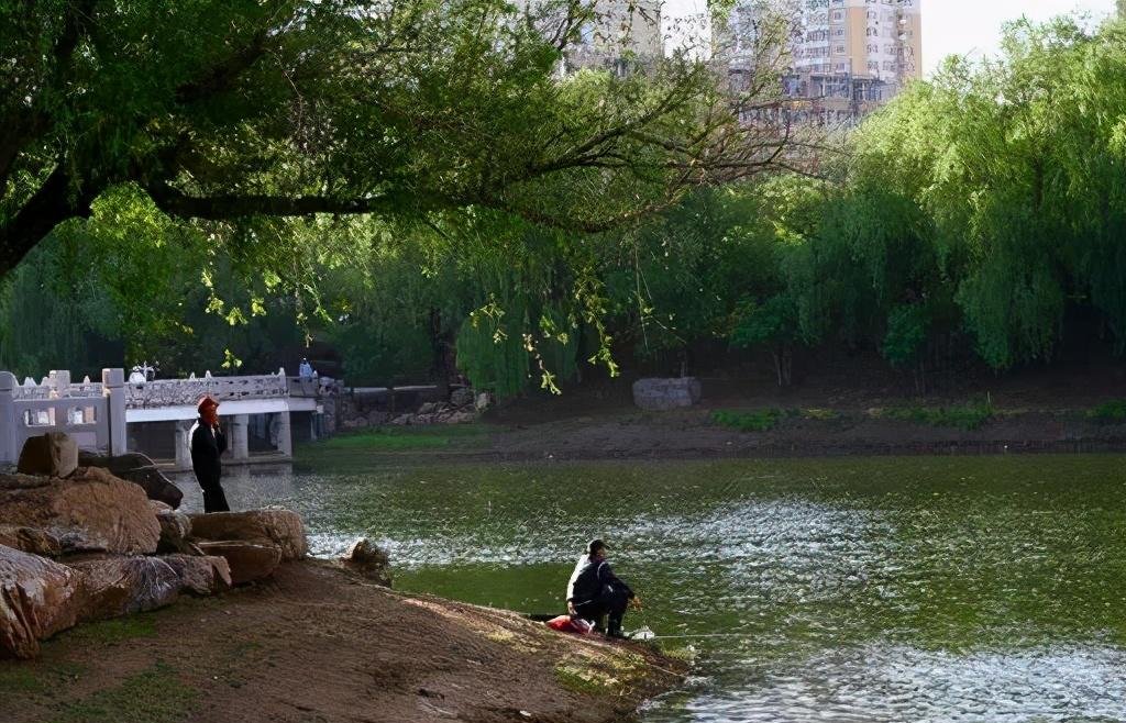 如何搓饵可以帮你钓鲫满满？小小搓饵，有大大的学问