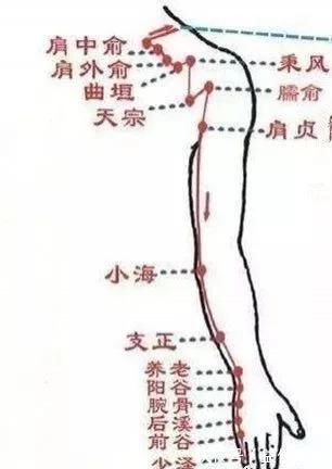 中渎穴|调理手颤、手麻、脚麻、面部神经麻痹，它们是立竿见影的必调穴