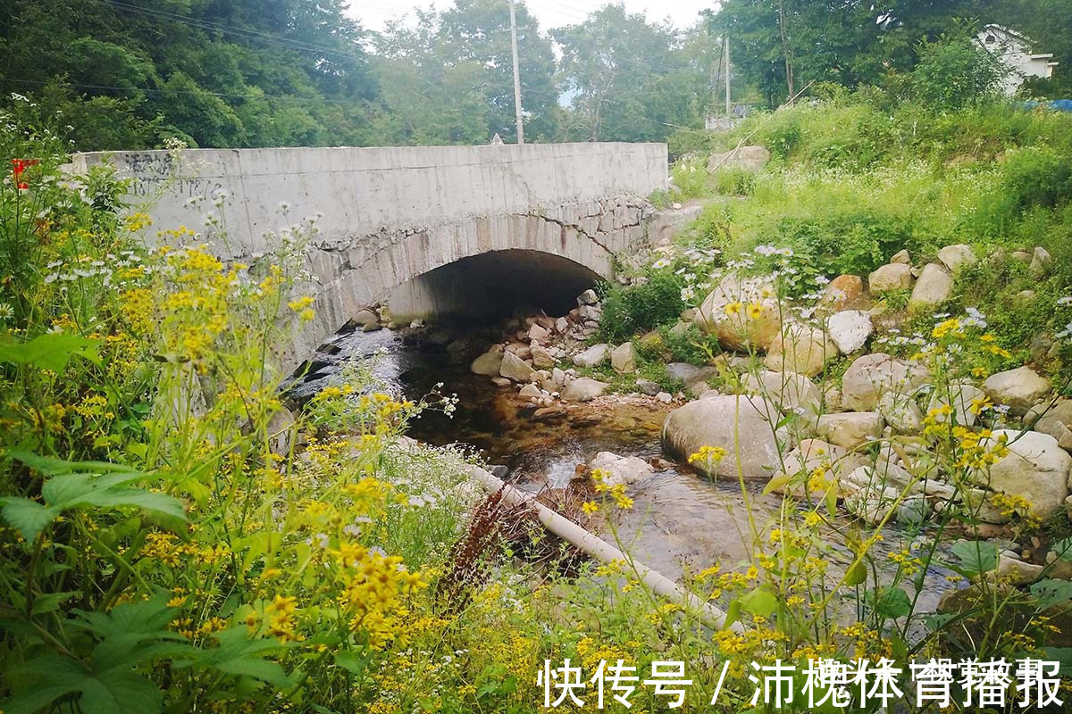 杂草|山村楼房装修豪华,门前堆满柴火,2个儿子3年没回家