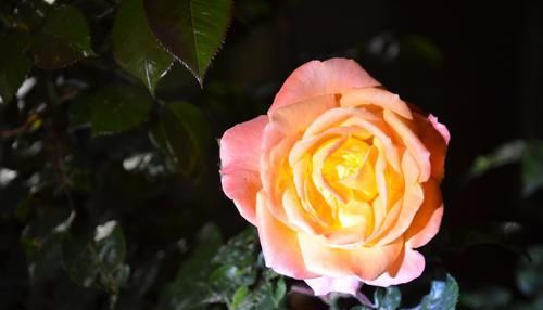 吃穿无所谓，但喜欢用化妆品的中年女人，是怎么想的？