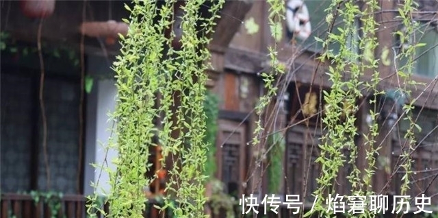 春雨$春雨相思词:柳丝长,春雨细,梦长君不知