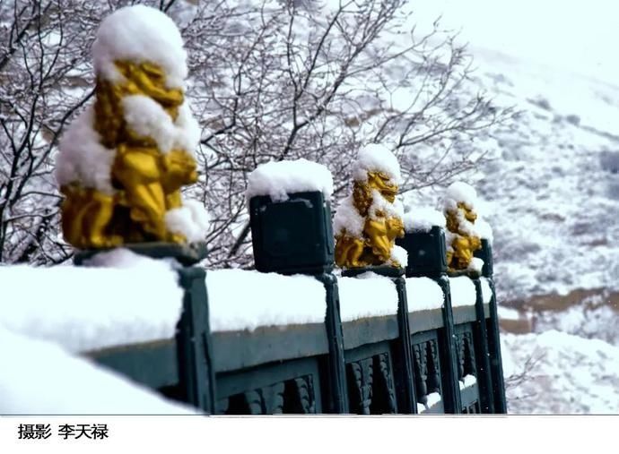 卧龙|在卧龙寺，听雪落下的声音