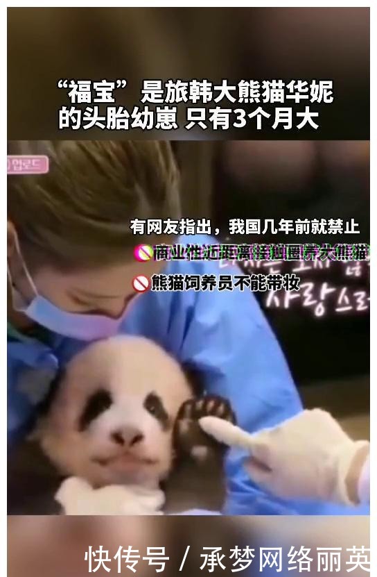抢汉服熊猫还不够?韩网友称鞠婧祎《如意芳霏》抄韩国放河灯习俗