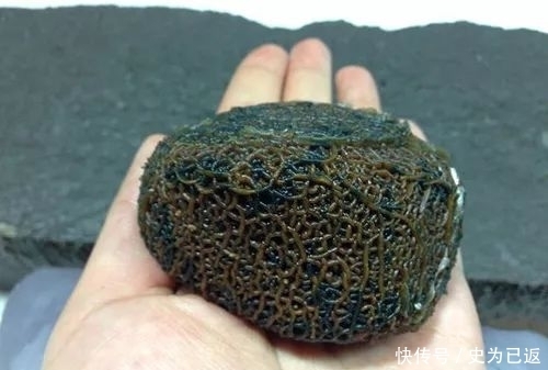 石种|什么新石种?这些线团竟然是天然的石头!难以置信!