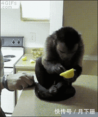  表情|笑死了，快看吃货宝宝吃饭时那笑死人的表情吧
