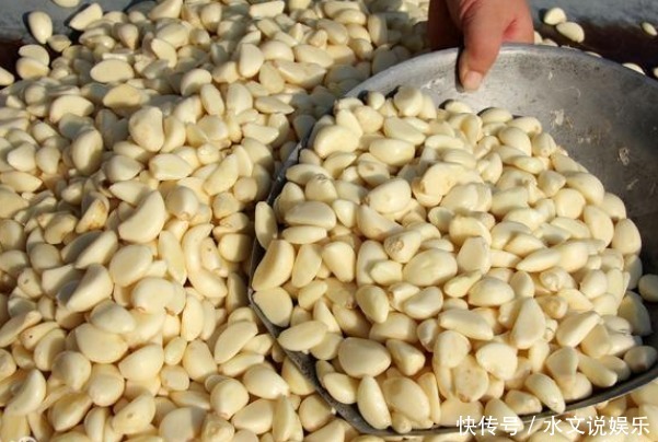 蒜瓣有大用处!睡觉前放在枕头下,三天后,许多好处偷着乐