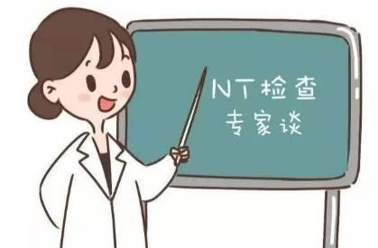 唐氏筛查|第一次胎儿排畸做什么关于NT筛查,孕妇一定要懂