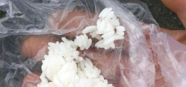 别看这东西便宜,却是鲫鱼最爱吃的饵料,它就在你身边