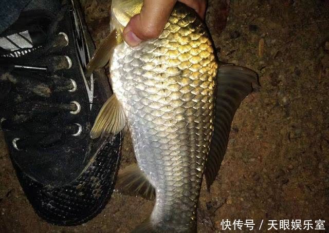 野钓人多时如何提升渔获?爆护难但有好收获不难