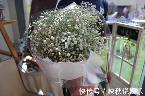 丝石竹|此盆栽漂亮又好养，扔进土里就能活，阳台养一株，年年开花爆盆