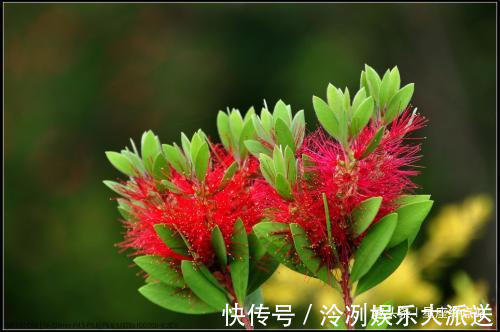 乖巧|阴历哪个月出生的孩子，聪慧过人，会替父母分忧解难，大有出息